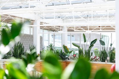 Biophilic design en waarom je meer planten in huis wilt