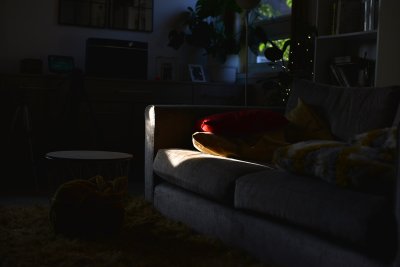 Bordeauxrood verdringt beige als favoriete woonkleur
